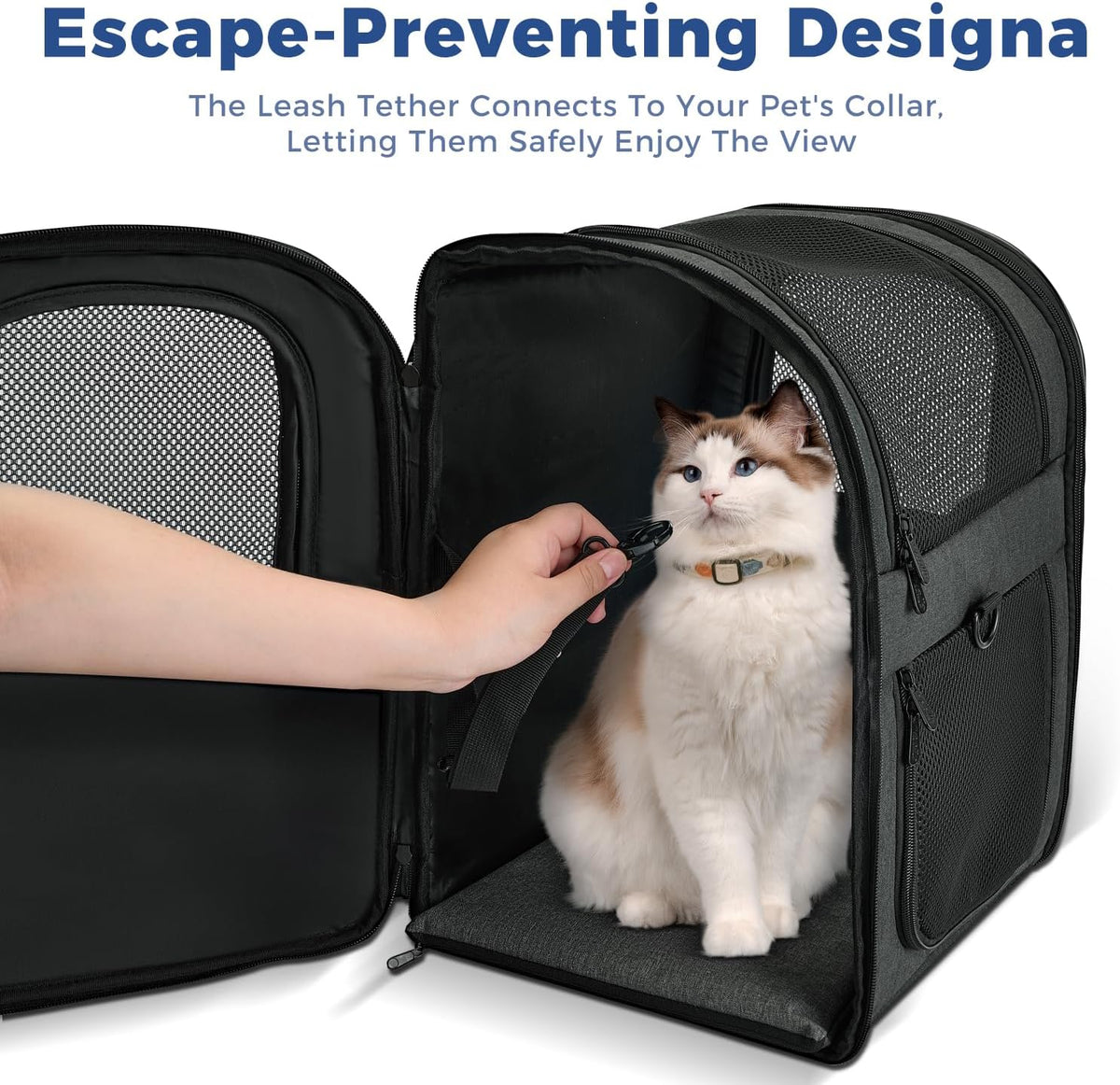 Apollo Walker Cat Backpack Carrier, Support Frame - Black / Medium-Standard - image 3