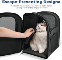 Apollo Walker Dog & Cat Carrier Backpack for 4-15lb Pets - Ventilated Safe Design with Padded Back Support, Breathable Mesh Pet Backpack for Hiking, Travel, Outdoor (Black)