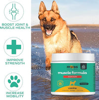 MYOS Muscle & Joint Powered by Fortetropin with Green Lipped Mussel (198 gr)
