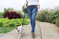 PetSafe 3 in 1 No-Pull Dog Harness, Walk, Train or Travel - Teal / Small (Pack of 1) - image 2
