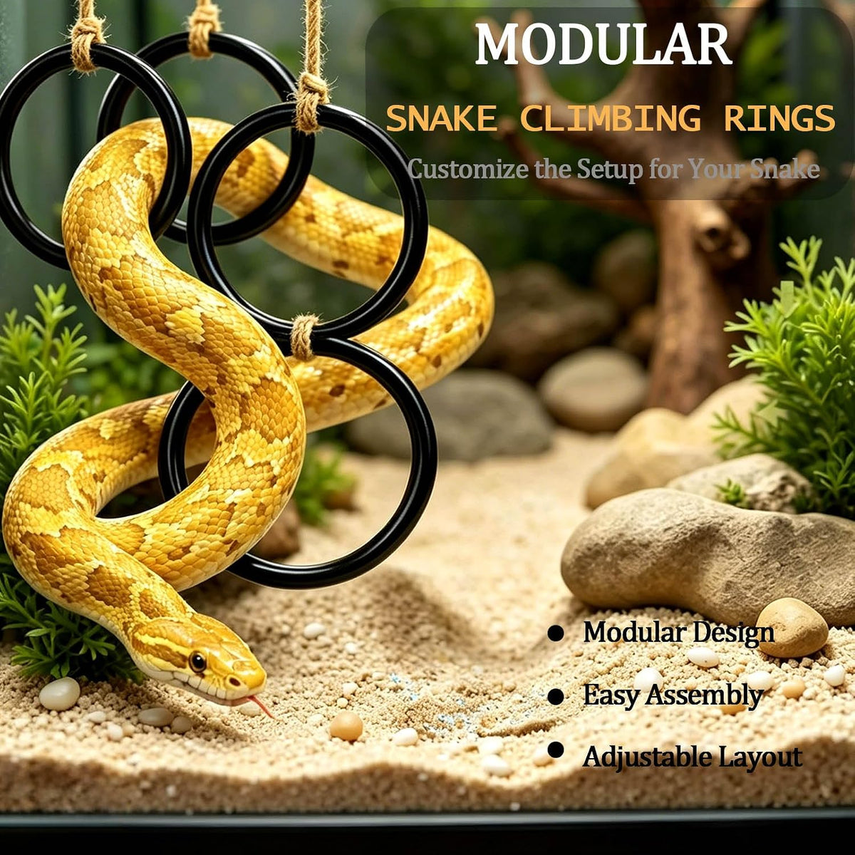 Ball Python Tank Accessory with 1 Pack Snake Climbing Ring for Decor – Essentials for Reptiles And Amphibians - 2 - image 3