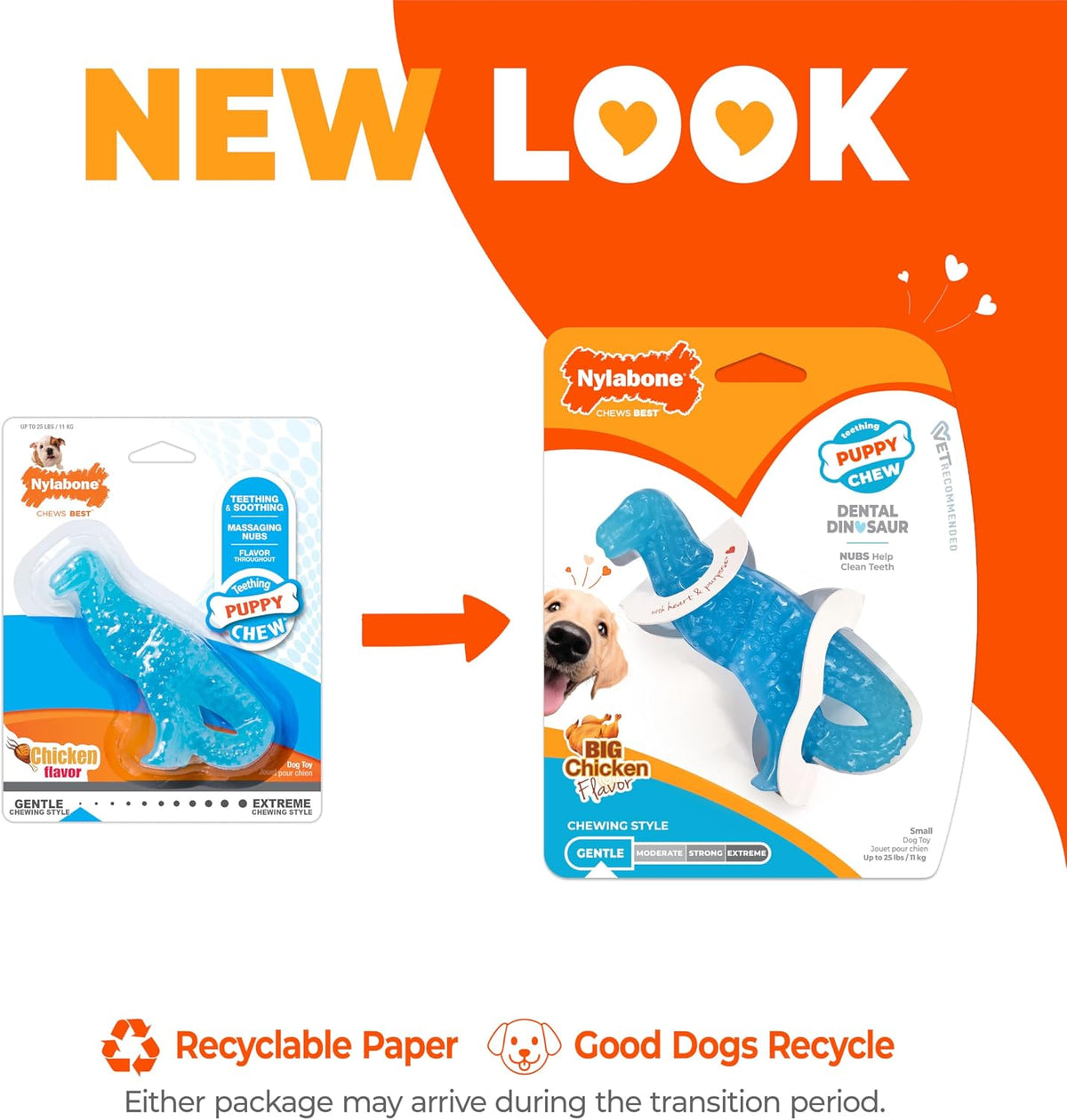Nylabone Puppy Pacifier Chew Toy - Dinosaur / Small - image 3