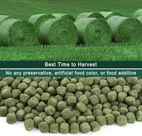 Timothy Hay Cubes 90 oz (9 * 10 oz) with Small Size - Timothy Grass Pellets for Tortoises Rabbits Guinea Pig Chinchilla