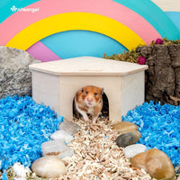 Niteangel Birch Chamber-Maze Hamster Hideout - 1 Chamber Hideout-Large - image 2