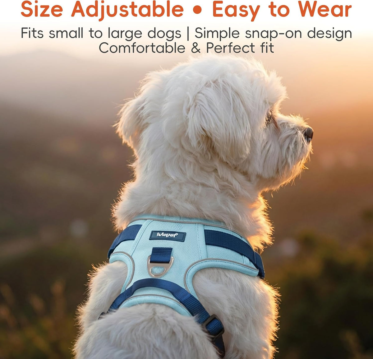 Dog Harness and Leash Set with Collar - Blue / M(Neck:18.1-28.3",Chest:21.3-28.3") - image 4