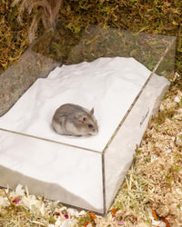 Niteangel Hamster Desert Bath Sand: 2.5lb/40oz No-Dust Bath & Easy - 6LB/96oz / White Sand - image 3