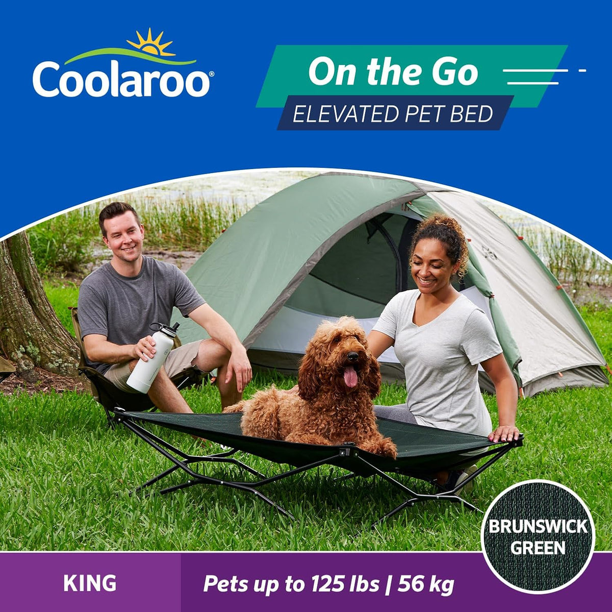 Coolaroo On-The-Go Elevated Dog Bed - King / Brunswick Green - image 4