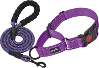 Haapaw Escape-Proof Martingale Dog Collar - Purple / S / 1 Collar + 1 Leash