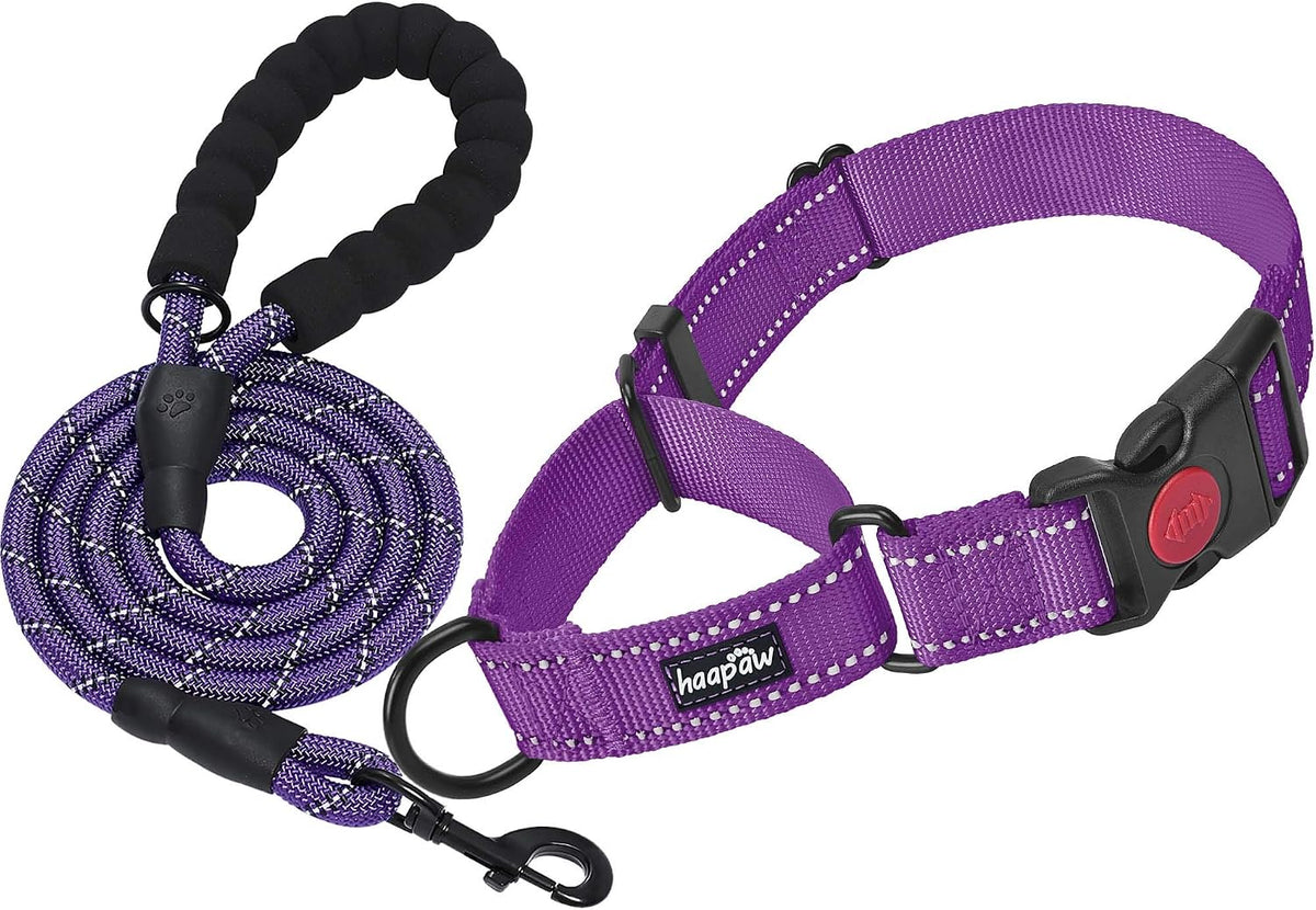Haapaw Escape-Proof Martingale Dog Collar - Purple / S / 1 Collar + 1 Leash