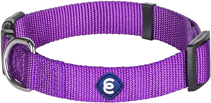 Blueberry Pet Essentials X-Small Dog Collar in Dark Orchid | Adjustable & Eco-Friendly Durable Nylon Strap | Classic Collar for X-Small Dogs, Boy & Girl Pets