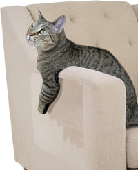 Kitty City XL 3-Pack Cat Scratcher Pads - Clear / 8-Pack Clear