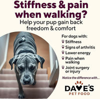 Dave's Pet Food Glucosamine Chondroitin for Dogs, Hip and Joint Support, Gluten-Free, Wet Senior Dog Food, 13.2 oz (Case of 12)