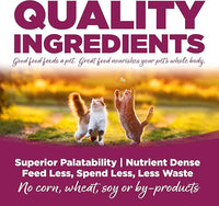 NutriSource Cat & Kitten Food, Chicken & Rice, 12LB