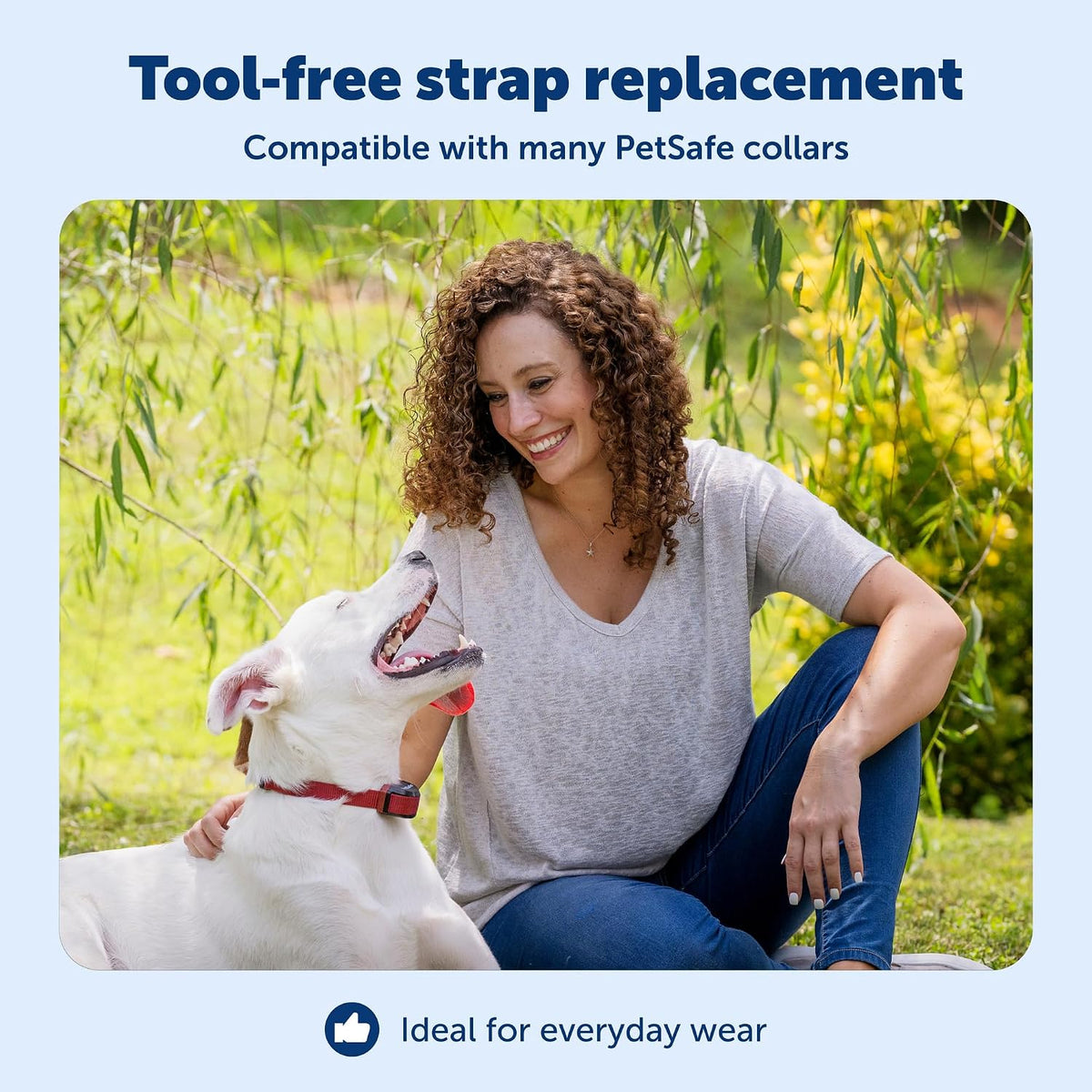 PetSafe 3/4 Inch Replacement Collar Strap, Rust/Red – Essentials for Dogs - Grey - image 3