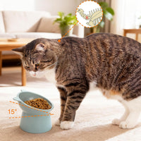 6 Pack Raised Cat Bowls for Indoor Cats - image 3