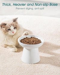 vancasso Ceramic Elevated Cat Bowls 2-Pack - 6.2" Extra Wide Raised Cat Food & Water Dishes, 5.1" Optimal Height Anti-Whisker Fatigue Shallow Bowls for Cats/Kittens/Dogs, Lead & Cadmium Free (White)