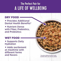 Wellness Complete Health Gravy & Minced Adult Wet Cat Food, Natural, Protein-Rich, Grain-Free, 3 Ounce, 24 Pack, (Chicken & Turkey Lovers Variety Pack)