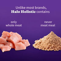 Halo Holistic Cage Free Chicken Cat Food, Healthy Grains Dry Cat Food, Complete Digestive Health, Kibble for Adult Cats, 3 lb Bag
