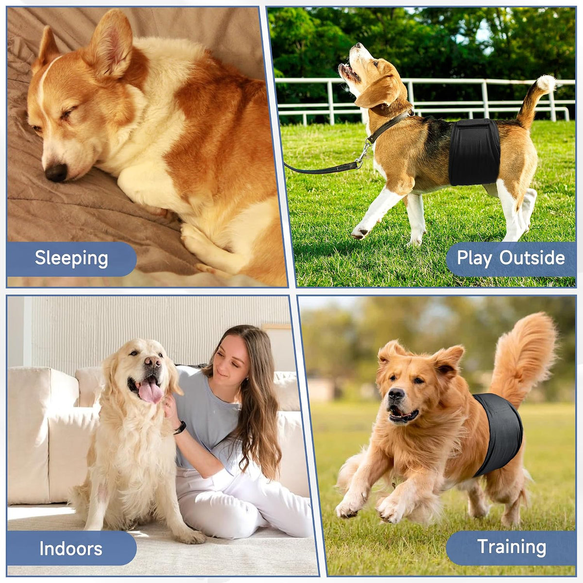 5 Pack Dog Diapers Male, High Absorbing Dog Wraps - X-Large / Black - image 4
