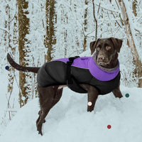 IECOii Extra Warm Reflective Dog Coat - X-Large(Chest:24.4-29.9 in) / Purple - image 2