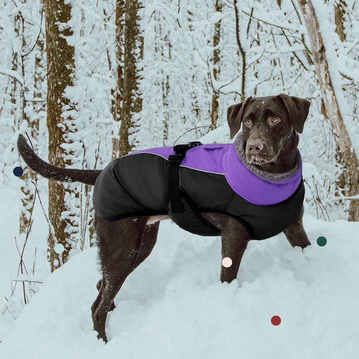 IECOii Extra Warm Reflective Dog Coat - X-Large(Chest:24.4-29.9 in) / Purple - image 2