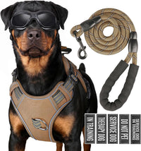 Dog Harness and Leash Set for Large Dogs - Khaki / S