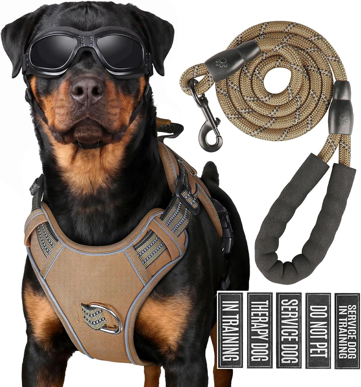 Dog Harness and Leash Set for Large Dogs - Khaki / S