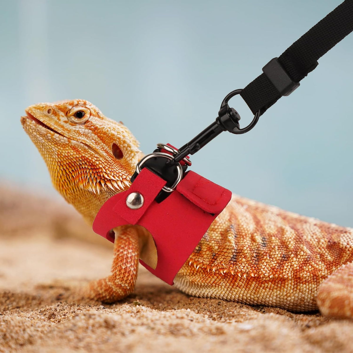 Bearded Dragon Harness Leash Set, 3 Size Lizard Harness - Red - image 3
