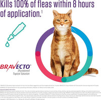 BRAVECTO Topical Solution for Cats, Flea & Tick, 12 Week Supply, 2.6-6.2 lbs., Green Box