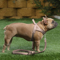 Plutus Pet No Pull Dog Harness with Front Clip - M: chest 19.7"-25.2" / Beige - image 4