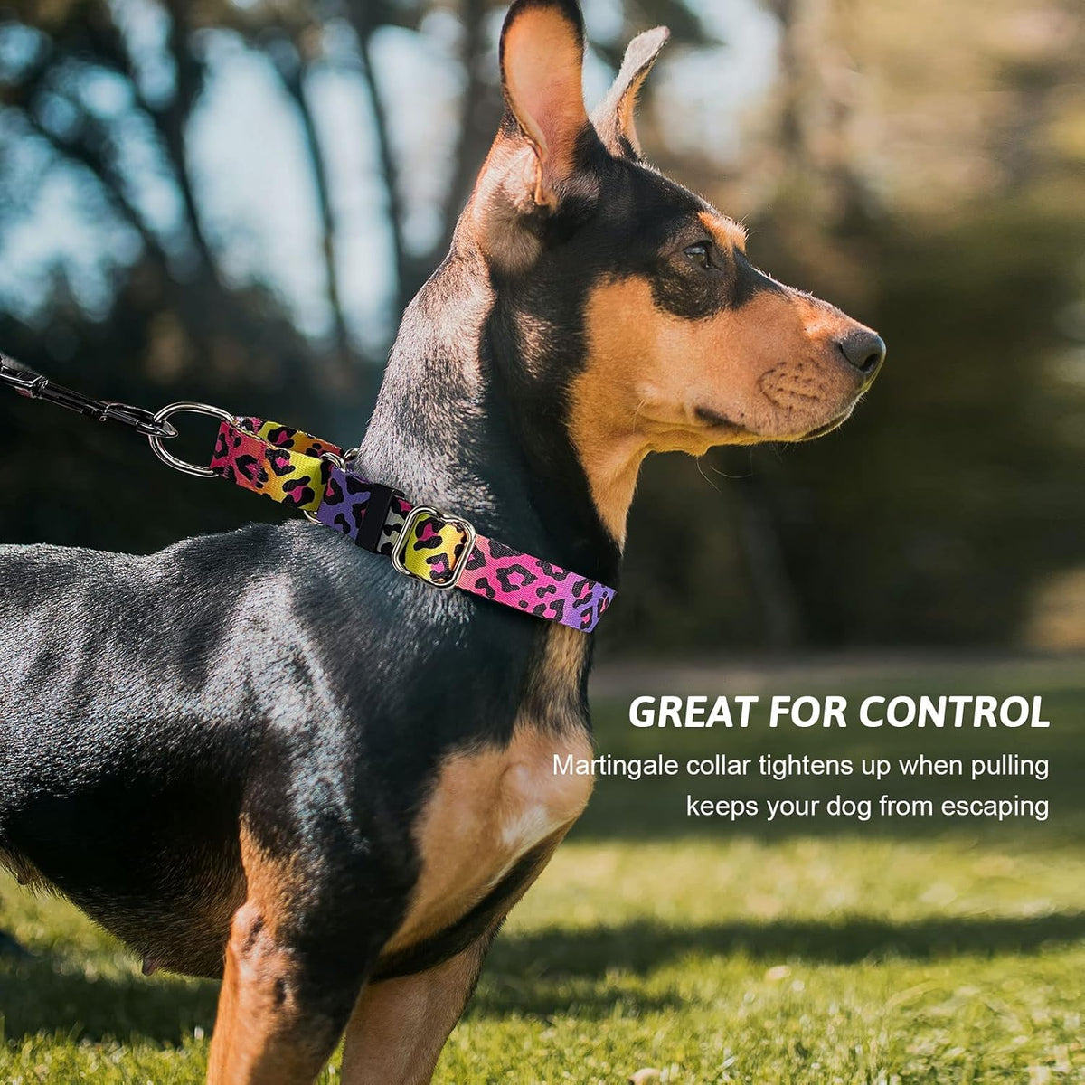 Martingale Dog Collar with Buckle - Gradient leopard / Medium - image 4