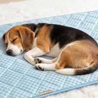 Waterproof Cooling Mat for Large Dogs 28x41 - Light Blue / 30x48 - image 2