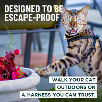 Houdini Escape Proof Cat Harness and Leash – Essentials for Cats - Orange / S - image 3
