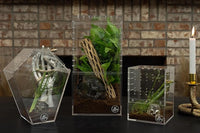 Coffin Shaped Jumping Spider Enclosure 9.5”x7.5”x5” Tarantula Enclosure Reptile Terrarium w/Sliding Magnetic Door. Great Reptile Tank Acrylic Aquarium Spider Box for Terrestrial or Arboreal Animal.