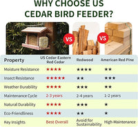 Solution4Patio US Cedar Hopper Bird Feeder for Outdoors Hanging, Handcrafted Wood Double Suet Cage & Clear View Windows, Squirrel-Proof Wild Bird Feeder for Cardinals, Finches, Chickadees