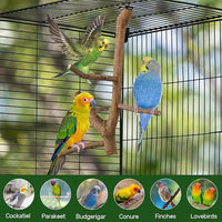 Bird Perch Stand, Natural Vitex Negundo Wood Parrot Perch Bird Cage Branch Perch, Accessories for Parakeets, Cockatiels, Conures, Macaws, Finches, LoveBirds (12" Length)