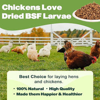 20LB Dried Black Soldier Fly Larvae, 86X Calcium Than Dried Mealworms, High Protein Non-GMO Organic Chicken Feed