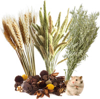 Natural Ear of Grain Flower&Herb Bedding Mate Habitat Decor - Wheat