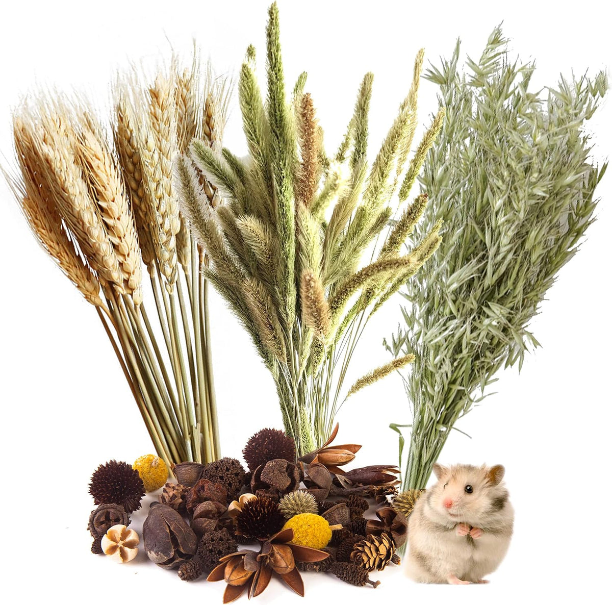 Natural Ear of Grain Flower&Herb Bedding Mate Habitat Decor - Wheat