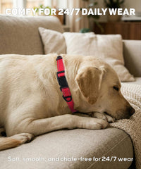 Small Dog Collar, Reflective Puppy Collar, 3/8" Width - Royal Blue / L: 1.0"x(16-24") - image 3
