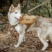 ONETIGRIS Y-Shaped Dog Backpack with Handle - Large / Brown - image 4