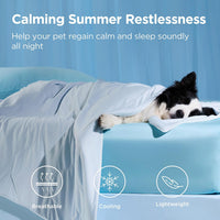 Bedsure Breathable Lightweight Cooling Blanket for Small Dogs - XL(50x60") / Arctic Blue - image 2