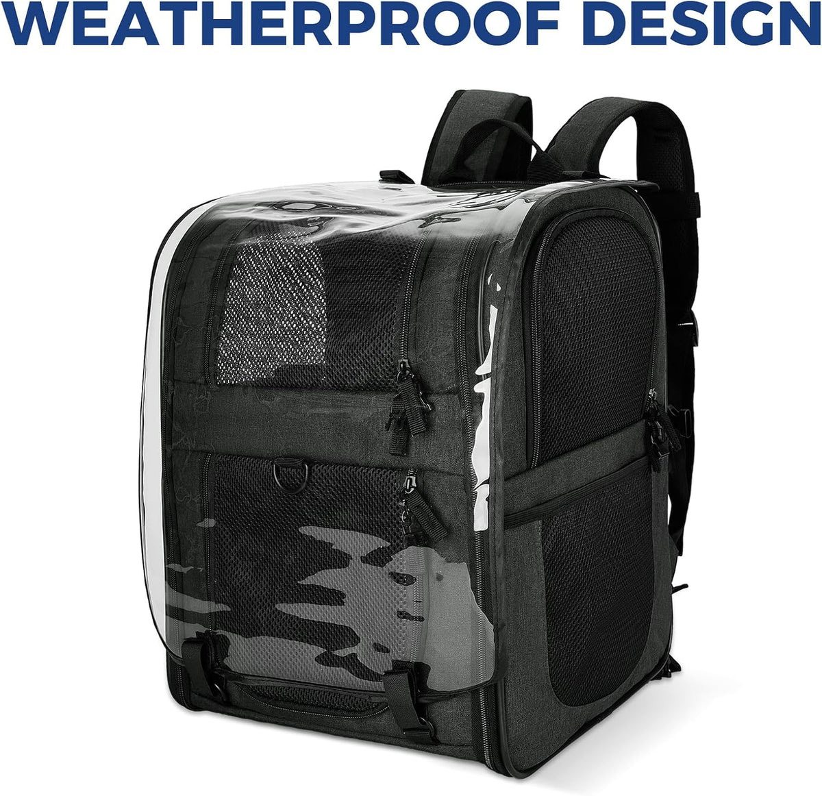 Apollo Walker Cat Backpack Carrier, Support Frame - Black / Large-Expandable - image 3