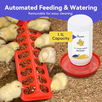 Pawaboo 5-in-1 Chicken Brooder Box for Chick Starter Kit, Includes Pet Cage Tent, Chicks Perch, Chicks Feeder, 1.1L Chick Waterer, Baby Chicken Supplies (Brooder Set), Gray