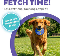 Outward Hound FlyFetch Launch-A-Ball Dog Ball Launcher Toy - Disc (2-Pack) - image 2
