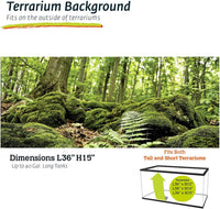Galápagos Terrarium Background Clings, 11.125" x 36" - Forest - image 2