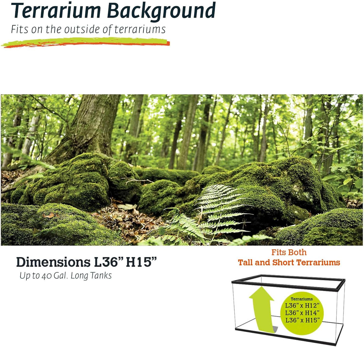 Galápagos Terrarium Background Clings, 11.125" x 36" - Forest - image 2