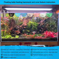 2pcs Wood Fish Feeding Ring for Aquarium，Floating Betta Hammock - Green / 1pcs big and 1pcs small floating version - image 4