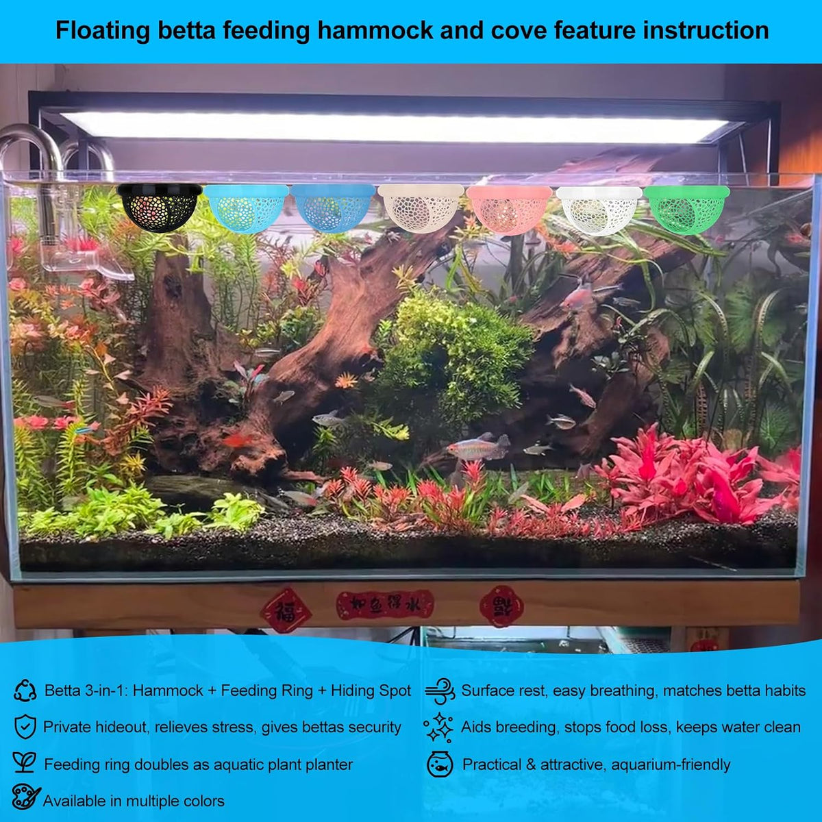 2pcs Wood Fish Feeding Ring for Aquarium，Floating Betta Hammock - Green / 1pcs big and 1pcs small floating version - image 4