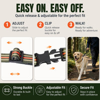 Medium Dog Collar, Neck 12"-20" - Large (Neck 16’’-25’’) / Green Stripe - image 2